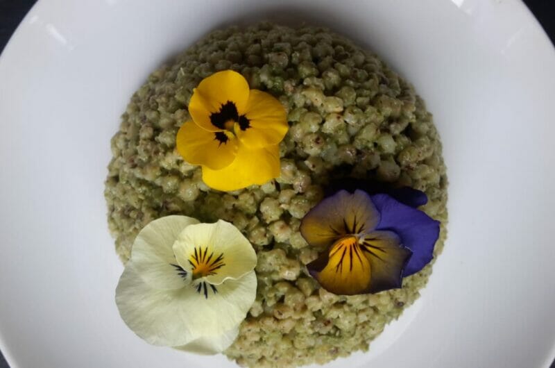 Sorgo con pesto di rucola e basilico al profumo d'arancia